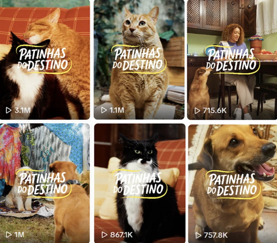 Mosaico de vídeos Patinhas do Destino com cães, gatos e visualizações no TikTok